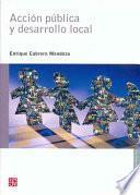 Libro Acción pública y desarrollo local