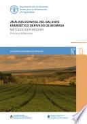 Libro Análisis espacial del balance energético derivado de biomasa