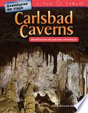 Libro Aventuras de viaje: Carlsbad Caverns: Identificación de patrones aritméticos (Travel Adventures: Carlsbad Caverns: Identifying Arithmetic Patterns)