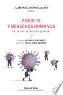 Libro Covid-19 y derechos humanos