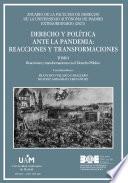 Libro Derecho y política ante la pandemia: reacciones y transformaciones. Tomo I: reacciones y transformaciones en el Derecho Público (AFDUAM) extraordinario, 2021]
