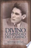 Libro Divino Compañero Del Camino