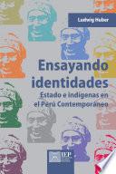 Libro Ensayando identidades