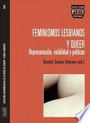 Libro Feminismos lesbianos y queer