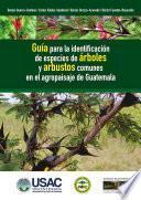 Guía para la identificación de especies de árboles y arbustos comunes en el agropaisaje de Guatemala
