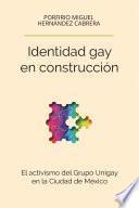 Libro Identidad gay en construcción