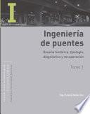 Libro Ingeniería de puentes