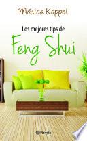 Libro Los Mejores Tips Del Feng Shui