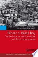Pensar el Brasil hoy. Teorías literarias y crítica cultural en el Brasil contemporáneo