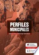 Libro Perfiles municipales - jurisdicción Cámara de Comercio de Tunja - Provincia Ricaurte
