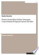 Libro Prisión Domiciliaria Trabajo Entregado. Como Priorizar El Superior interés Del Niño