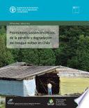 Libro Promotores socioeconómicos de la pérdida y degradación del bosque nativo en Chile