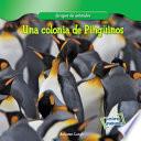 Libro Una colonia de Pingüinos (A Penguin Colony)